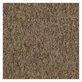 Shaw Sound Advice 24 x 24 Carpet Tile in Do the Work